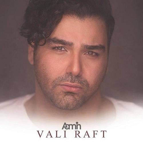 Cover artwork for Vali Raft by Aamin
